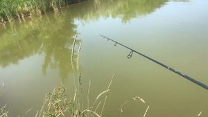 КРУПНАЯ КРАСНОПЕРКА НА МУХУ, МОРМЫШИНГ.