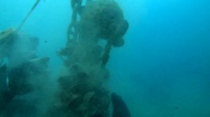 Ловим мидии в Черном море, Крым.