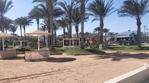 Шарм Эль Шейх ЗИМОЙ с АКВАПАРКОМ - Royal Albatros Moderna 5*