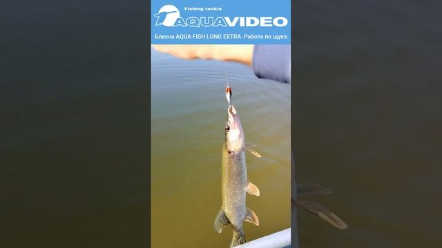 🎣 Блесна AQUA FISH LONG EXTRA  Работа по щуке!