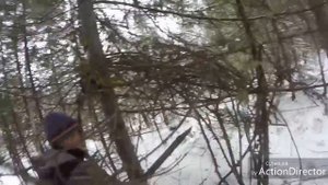 Установка капканов на соболя!