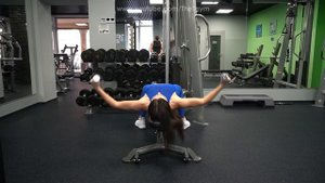 Сведение гантелей лежа