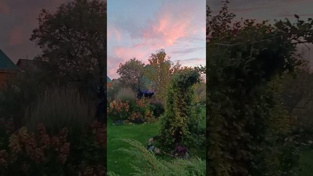 Осень. Сад. Закат.