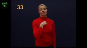 (033) Честное слово. Словарь лексики русского жестового языка