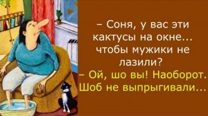 Мудрые еврейские анекдоты