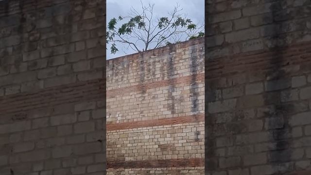 Где начинался Стамбул. Стены древнего Константинополя смотреть онлайн