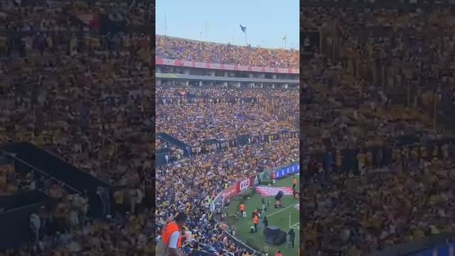 La gente pide a gritos a RAFAEL CARIOCA en el Estadio Universitario | Tigres vs Xolos | Liga MX