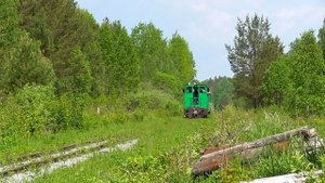 АУЖД. ТУ7А-3367 с туристическим поездом Синячиха - Алапаевск-2