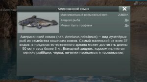 рыбалка 🎣 MyFishing ловим Американский Сомик