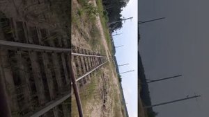 Узкоколейная дрезина. 6 часть ужд Тверского КСМ2. Покатушки по узкоколейке.