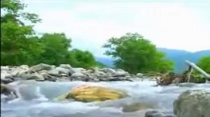 Yalcin Rzazade 2020 Elnur Efetli ince belim mp3)