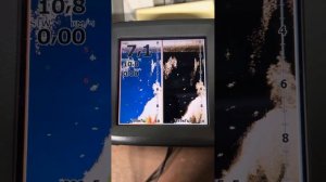 Lowrance Elite 5x HDI  - Режим имитации эхолота