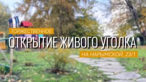 Открытие живого уголка во дворе дома,
Нарымская, 23, сентябрь 2024г.