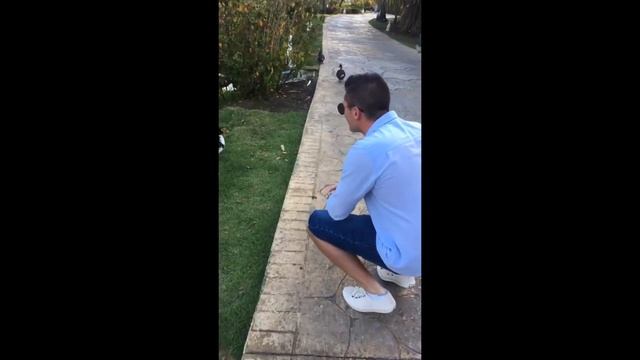 Punta Cana 2018 (Caribe Club Princess) смотреть онлайн