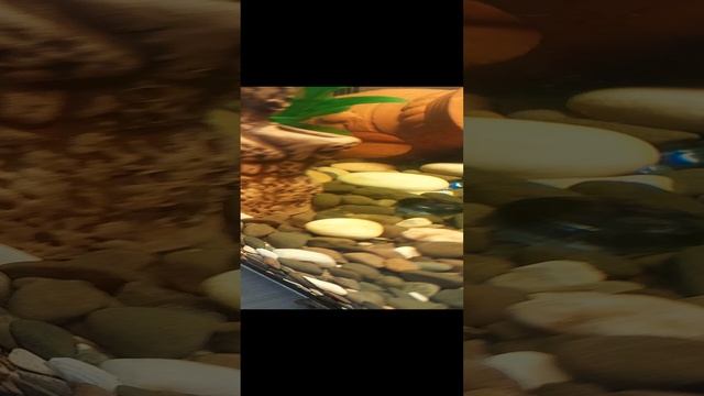 мои рыбки смотреть онлайн