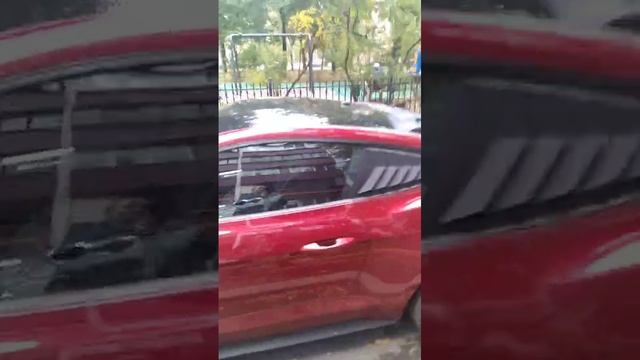 Форд мустанг в бордовом цвете.