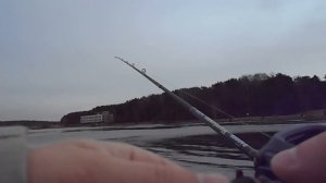Отводной поводок с вертушкой. Baitcasting