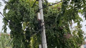 Ищем квартиру во Вьетнаме