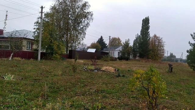 Новополянье! Готовимся к отъезду в Москву!