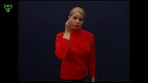 (003) Постоянно. Словарь лексики русского жестового языка