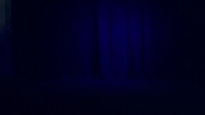 Буратино спектакль -мюзикл