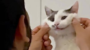 НЕОБЫЧНАЯ ПОДБОРКА МЕМОВ V237