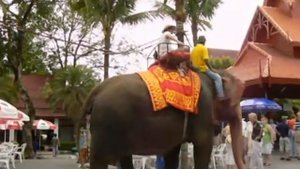 Паттайя: Тропический сад Нонг Нуч