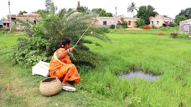 Fishing Trap🐬🐠 || The girl is fishing in the village field using different types of food смотреть онлайн