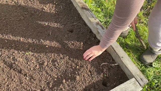 Копаю грядку да чеснок сажаю! Ну и стройка, само собой...