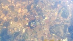 Фидерная прикормка на течении