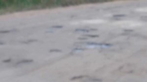 Дорога от Весьегонска до Устюжны