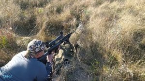 Стрельба по мишени ТГ-3 САЙГА (ланкастер) 9.6*53.