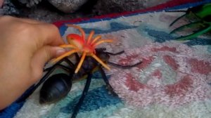 Насекомые         Игрушки  для  детей