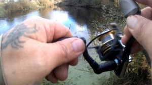 Зашли в лес после рыбалки