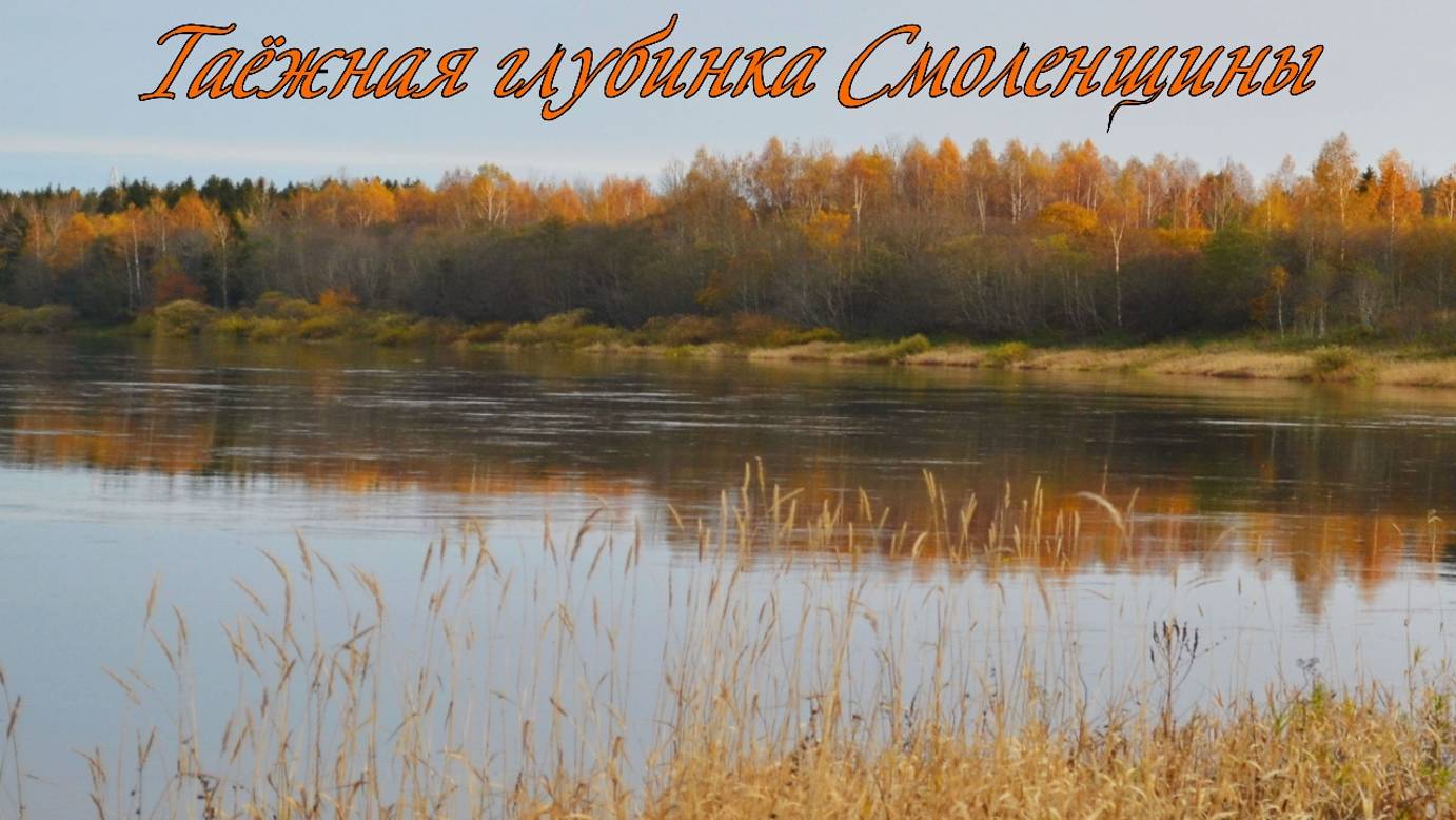 Земельный участок 349 соток (ИЖС) непосредственно на берегу реки Западная Двина