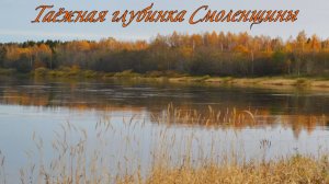 Земельный участок 349 соток (ИЖС) непосредственно на берегу реки Западная Двина