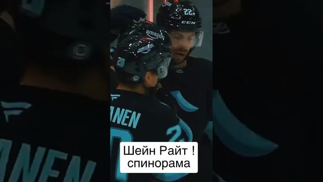 Шейн Райт забивает спинораму🏒