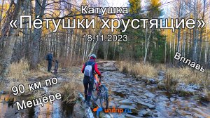 2023.11.18 Петушки хрустящие