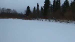 На рыбалку на Пелец Мини 3