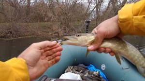 Снова в ударе по микроречке Jackall Tiny Magallon.Твичинг в ноябре Рыбалка на щуку осенью. Клевень