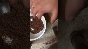 технопланктон своими руками