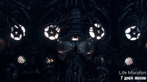 Online Marafon  - "7 ДНЕЙ ЖИЗНИ"