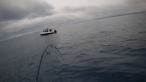 Ecooda BLACK HAWK Sessions