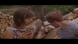 твоим носом только дрова и нюхать