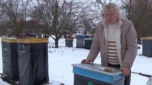 Хорошая Зимовка Пчел в Ульях Василия Приятеленко, Киев Украина
