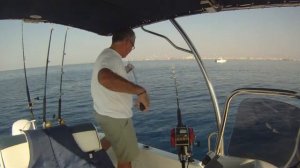 miya 7 electric reel. trolling cyprus mineri fishing