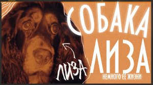 СОБАКА ЛИЗА