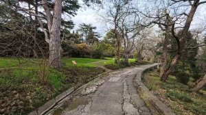 Квартиры в Ялте с самым лучшим ВИДОМ из окна! Поликуровский холм, массандровский парк, Дражинка