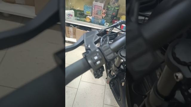 Электрический велосипед GRIFFIN F1, 1000W, 16Ah