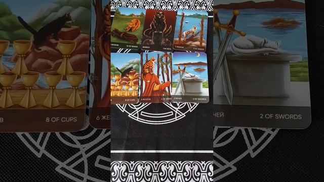 Что о Вас думают знакомые мужчины? #tarot #тарорасклад #предсказание #таро #вопросответ #гадание